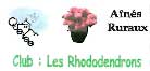 Logo Rhododendrons
